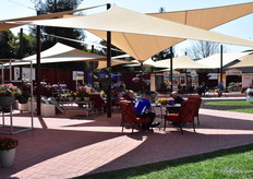 At Ball Horticultural, varieties are showcased indoors and outdoors.